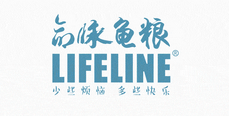养殖大青蚯蚓_哪里有青蚯蚓养殖技术_养青蚯蚓技术视频