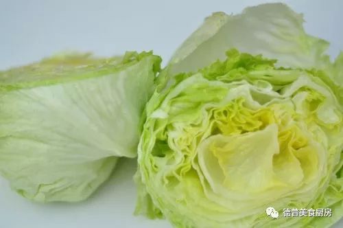 球形生菜种植技术_球状生菜种植_球形种植生菜技术视频