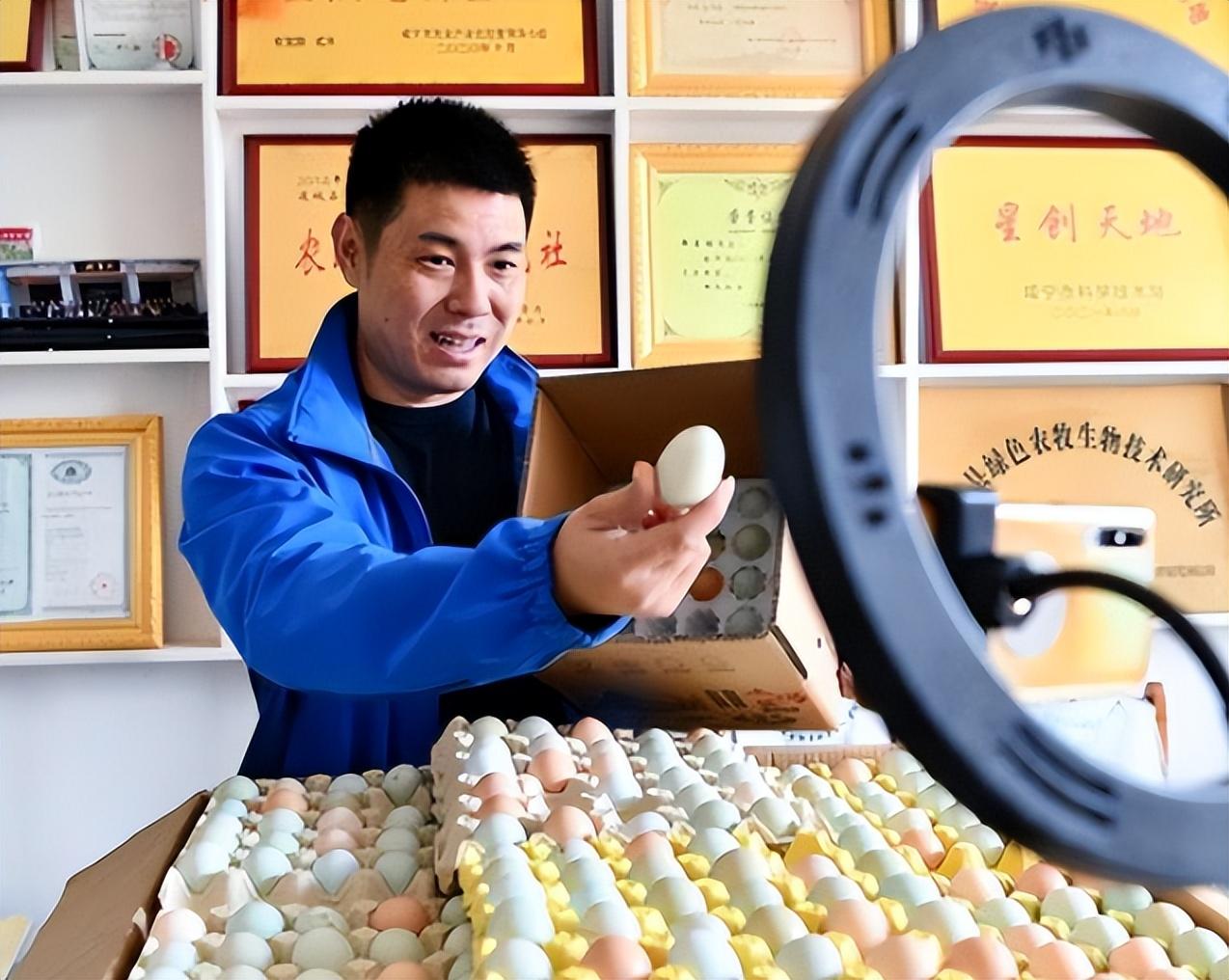 会飞的土鸡致富经视频_致富经土鸡养殖技术视频_致富经养土鸡蛋视频