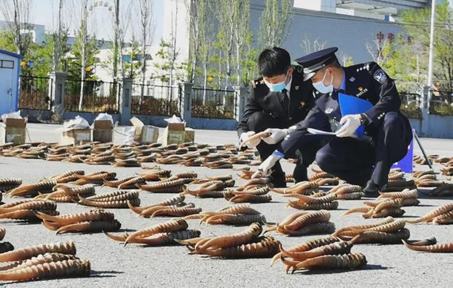 鳗鱼养殖致富经_养殖鳗鱼利润怎么样_致富养殖鳗鱼图片