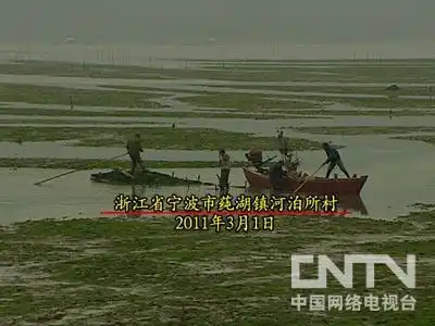 [致富经]什么诱惑让他放弃博士学位