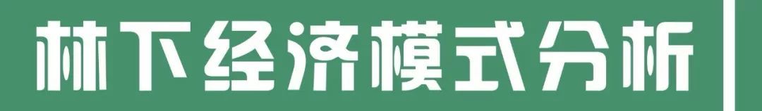 种植养殖致富的案例_致富经养殖业_林下养殖致富案例