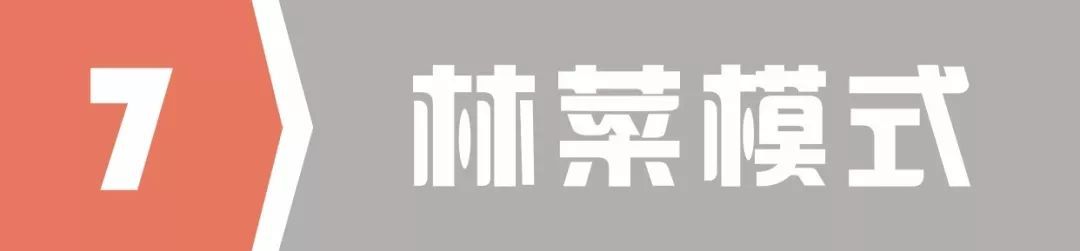 种植养殖致富的案例_林下养殖致富案例_致富经养殖业
