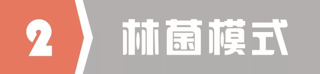 种植养殖致富的案例_林下养殖致富案例_致富经养殖业
