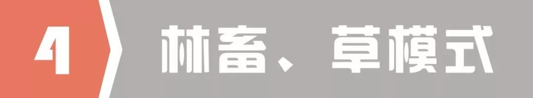 致富经养殖业_种植养殖致富的案例_林下养殖致富案例