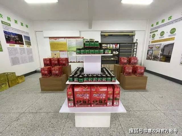 致富经种莲藕_莲藕种植效益_种植莲藕利润怎么样