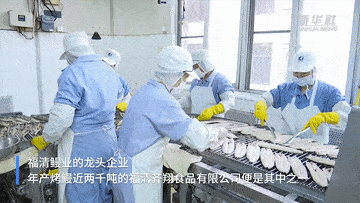 养殖鳗鱼赚钱吗_鳗鱼养殖致富经_致富养殖鳗鱼图片