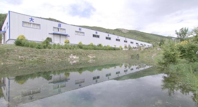 永宁县张山虎养牛公司_致富经宁夏张山虎养牛视频_宁夏养牛第一县
