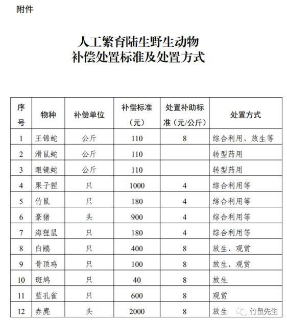 致富经果子狸养殖视频_养殖果子狸有销路吗_果子狸养殖成本与利润