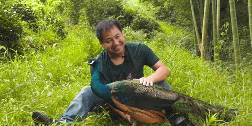 生物老师养孔雀，出奇制胜赚百万！