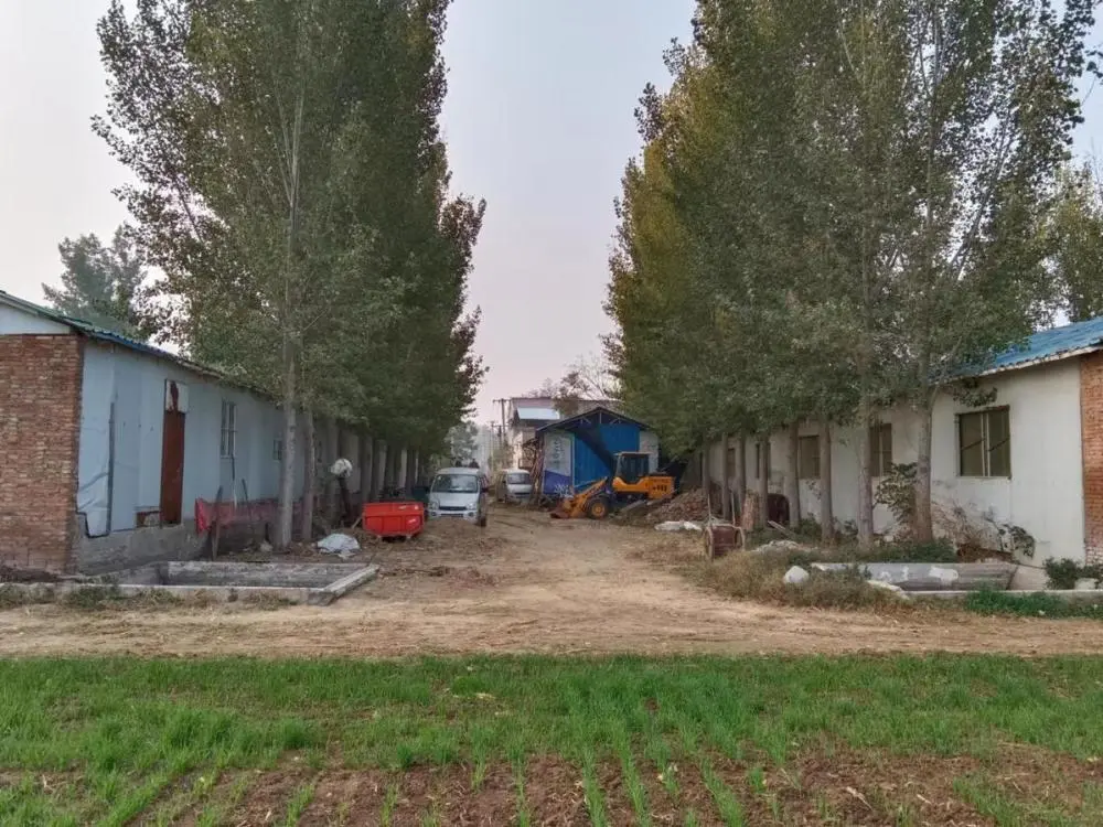 养牛视频致富经_大牛养殖致富视频_视频致富养殖大牛骗局