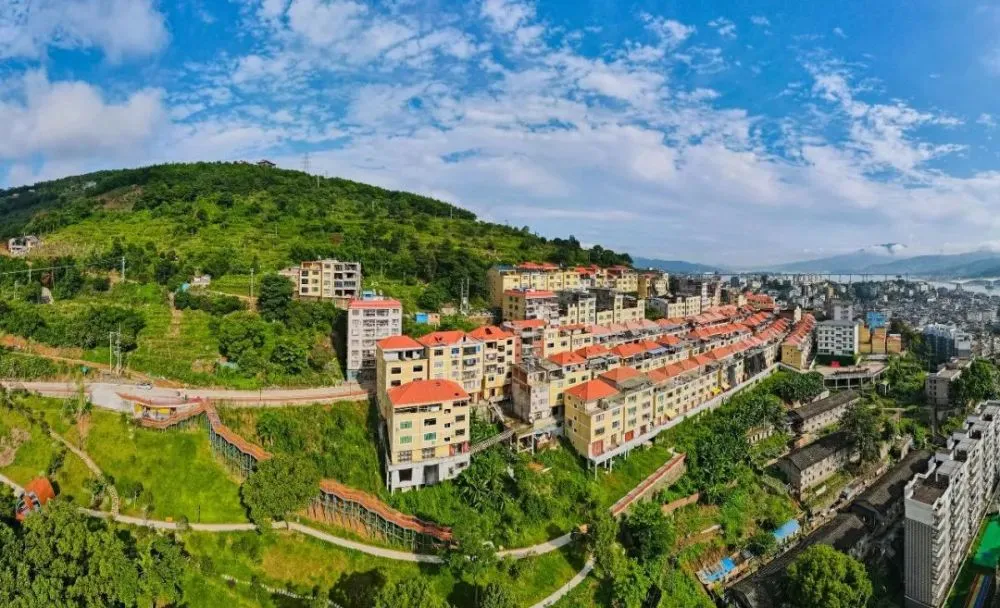 陈波靠树叶致富经_靠杠杆致富_农民要致富关键靠