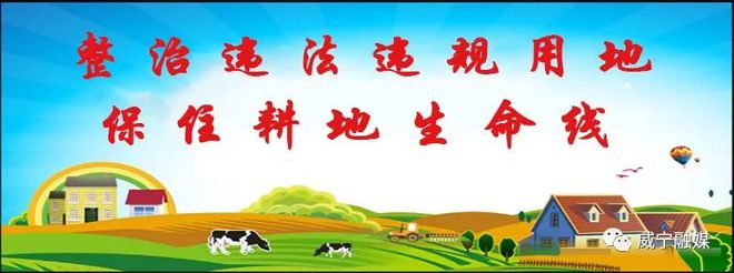 龙骨菜种植致富_龙骨的种植方法和注意事项_龙骨种植