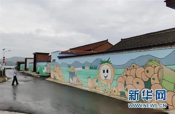 种植致富新项目_致富经种植亩收入过亿_种植致富案例
