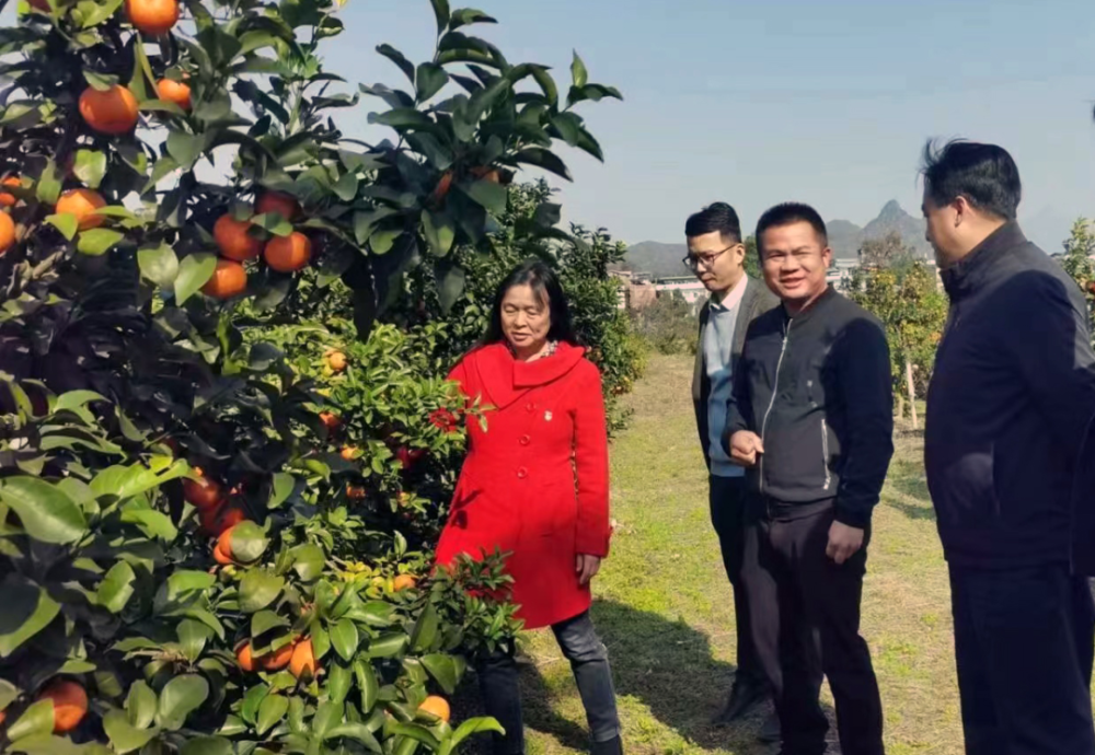 致富经种植亩收入过亿_种植业致富_种植致富新项目