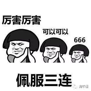 蜂窝养殖养黄技术方法_养黄蜂窝养殖技术_蜂窝养殖养黄技术视频