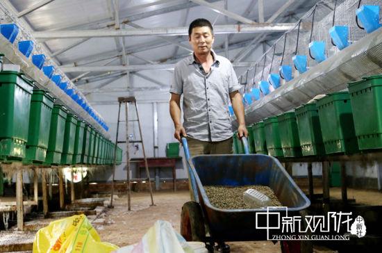 河北省内最大的肉兔养殖场_河北省养殖肉兔致富案例_致富经肉兔养殖视频