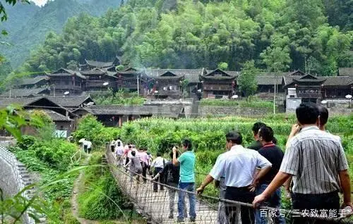 荒山种植什么致富_荒山种植什么赚钱_致富种植荒山图片