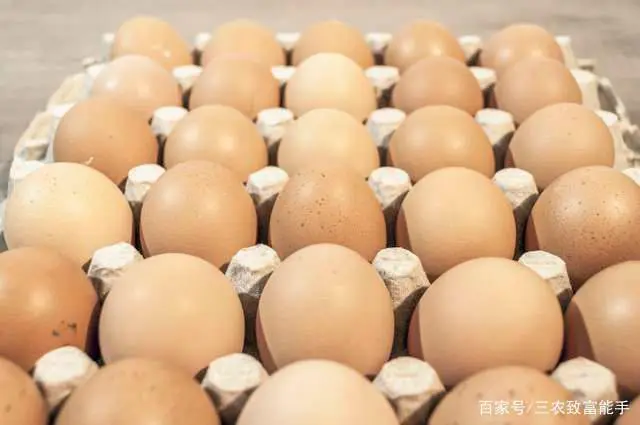 荒山种植什么致富_致富种植荒山图片_荒山种植什么赚钱