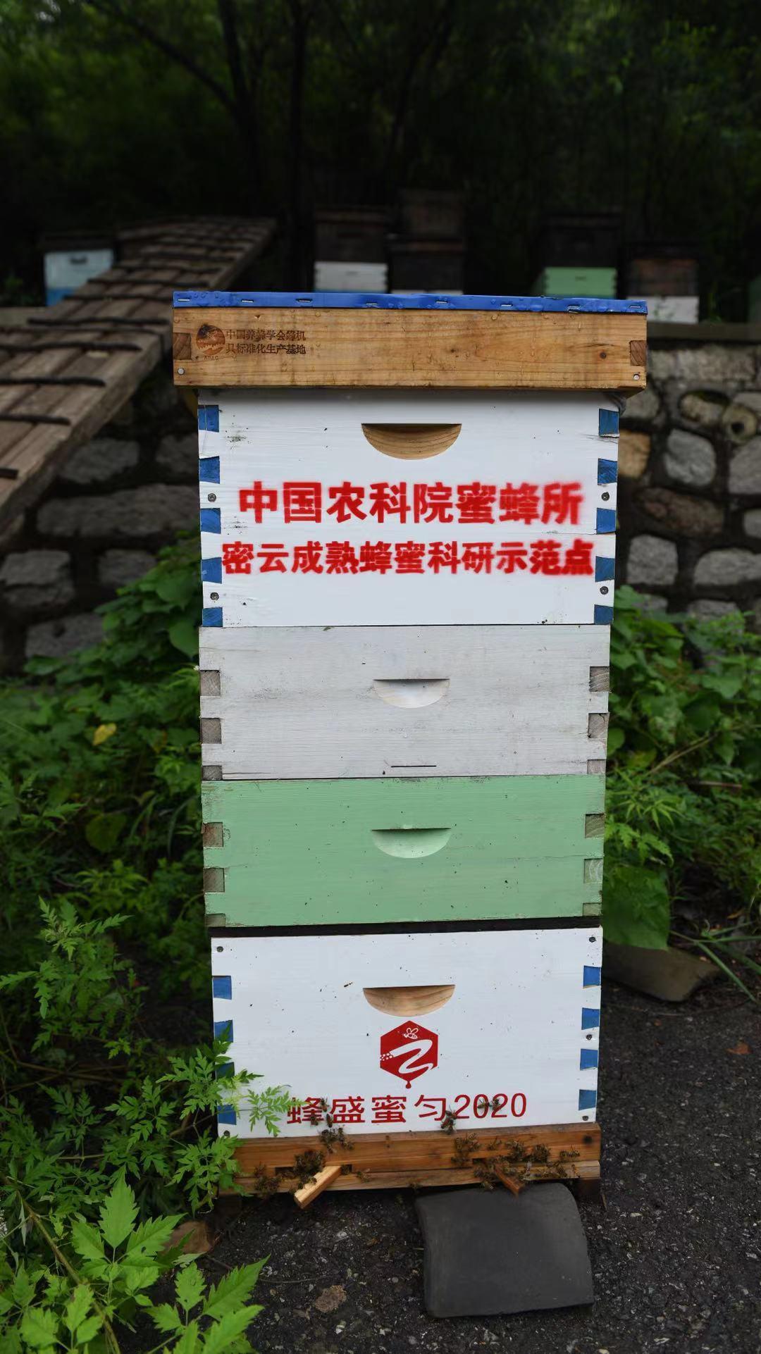 生态蜜蜂养殖技术_蜜蜂养殖生态技术要求_蜜蜂养殖生态技术有哪些