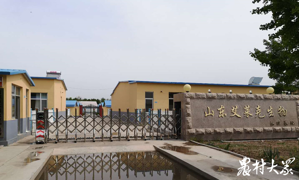兔子养殖视频播放_兔的养殖视频_青兔养殖技术视频
