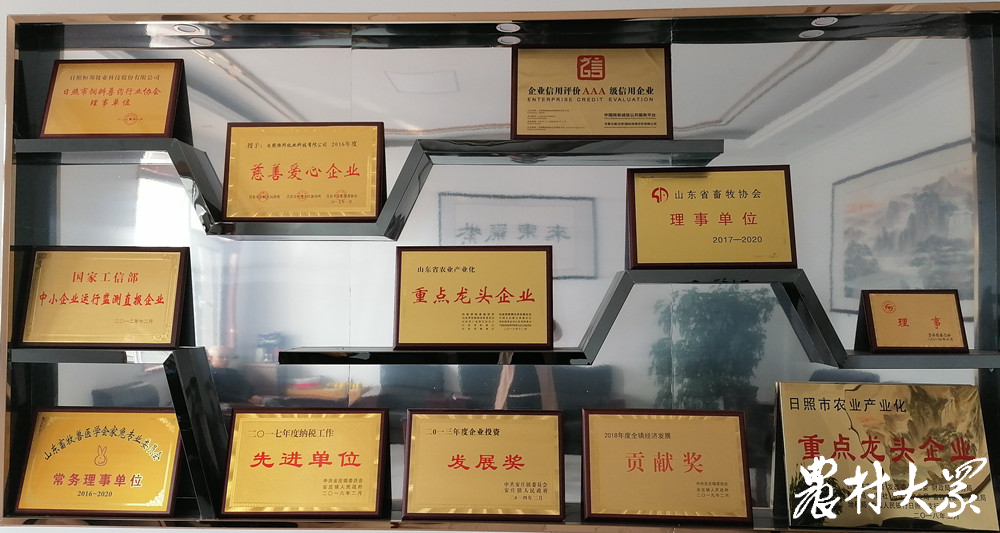 青兔养殖技术视频_兔子养殖视频播放_兔的养殖视频