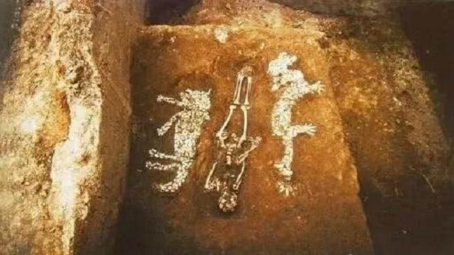 视频养殖蚌壳技术视频教程_视频养殖蚌壳技术有哪些_蚌壳养殖技术视频