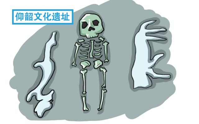 视频养殖蚌壳技术视频教程_视频养殖蚌壳技术有哪些_蚌壳养殖技术视频