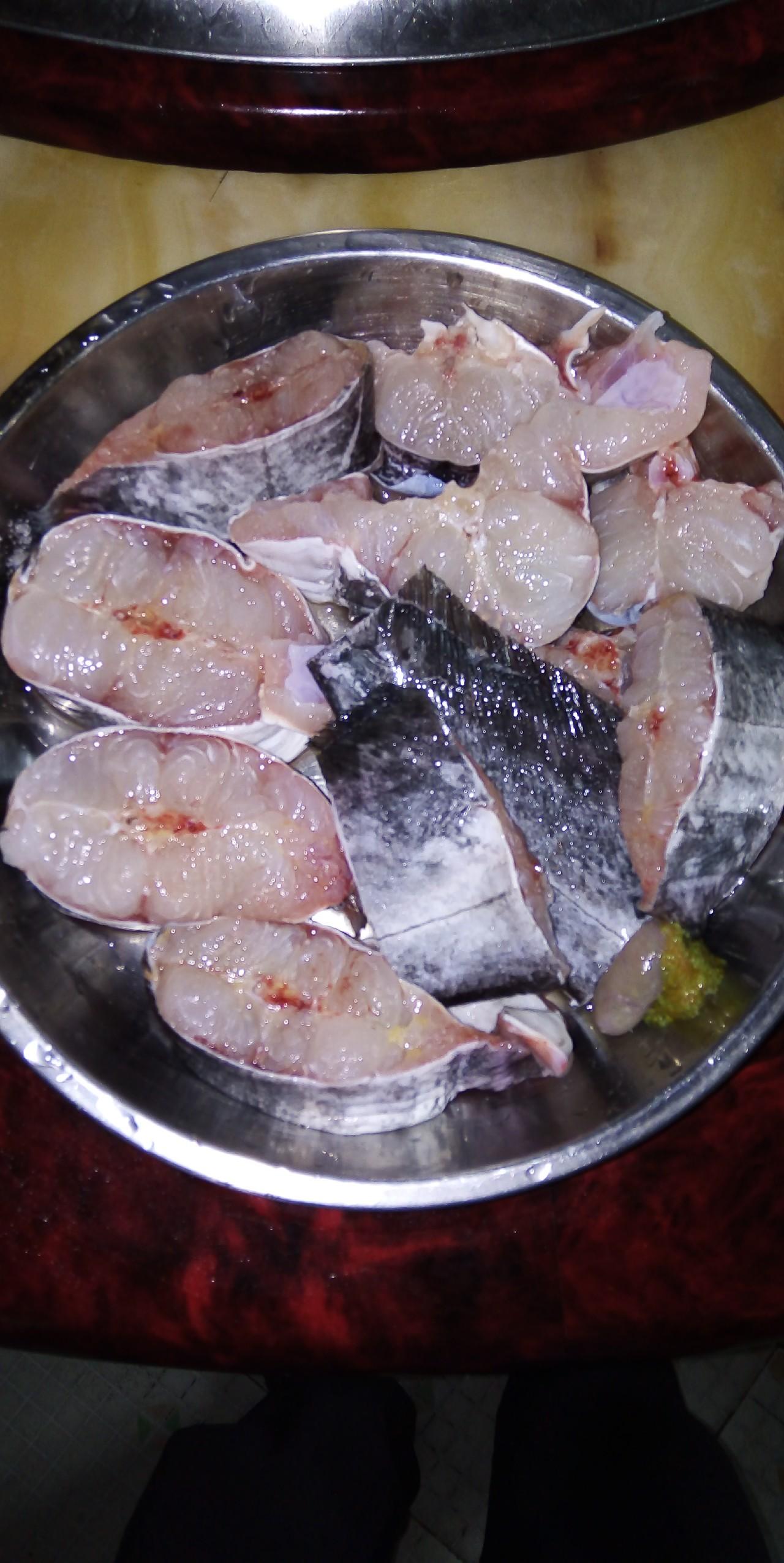 鲶鱼冬天养殖技术_冬天鲶鱼的活动规律_冬季鲶鱼用什么饵