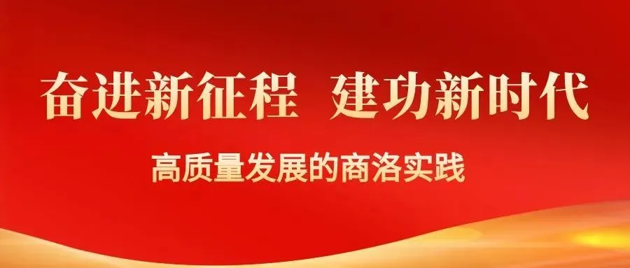 打造食用菌全产业链 “小木耳”发展成大产业——高质量发展的商洛实践系列报道之三