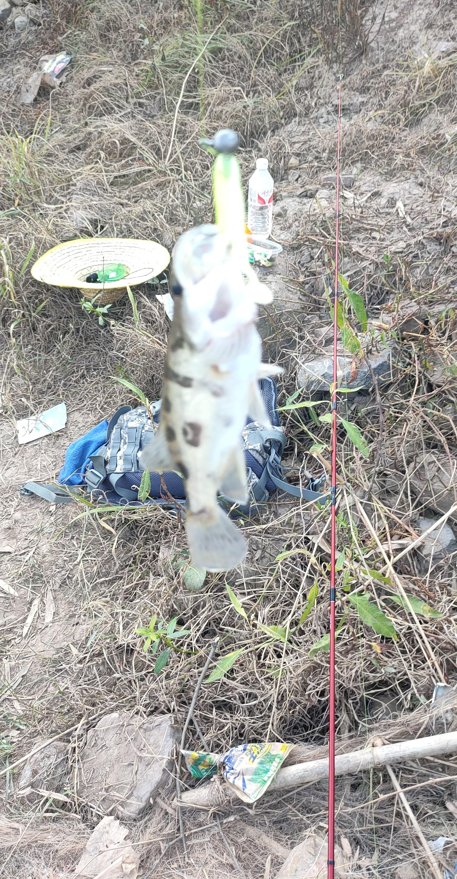 视频养殖蚌壳技术视频教程_蚌壳养殖技术视频_视频养殖蚌壳技术教程