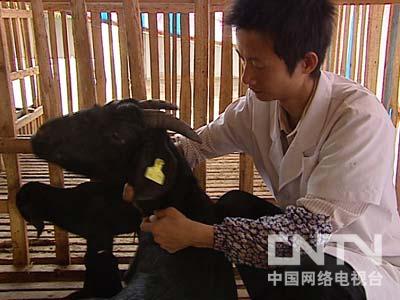 荷花九鱼图挂西南_致富经挂起来的鱼_客厅挂鱼风水禁忌