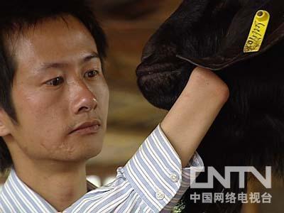 荷花九鱼图挂西南_致富经挂起来的鱼_客厅挂鱼风水禁忌