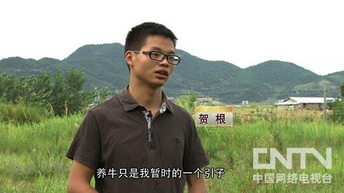 v7致富经养殖牛_致富养牛牛人_养殖致富项目牛