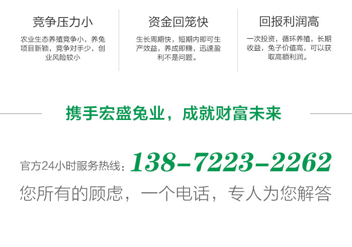 家中散养兔子养殖视频_散养家兔养殖技术视频_散养兔养殖场地视频