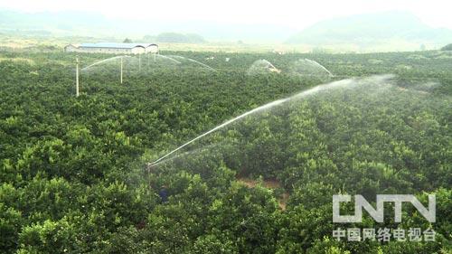 致富旅游先行_旅游cctv7致富经_致富央视