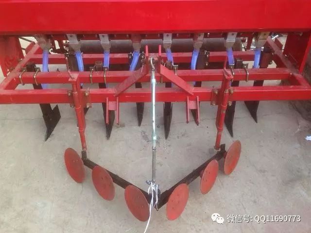 东北种植五味子技术要点_东北五味子的种植技术_北方五味子种植技术