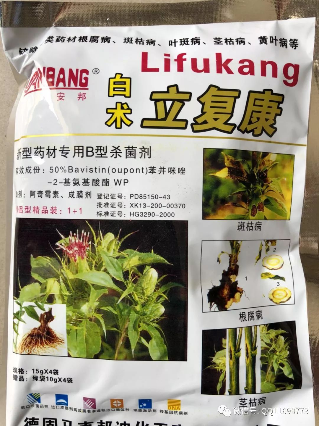 北方五味子种植技术_东北五味子的种植技术_东北种植五味子技术要点