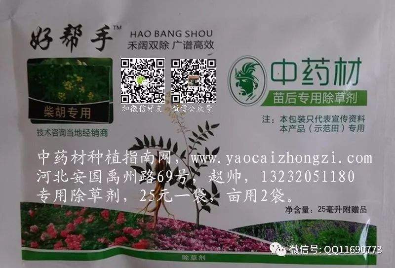 东北种植五味子技术要点_北方五味子种植技术_东北五味子的种植技术