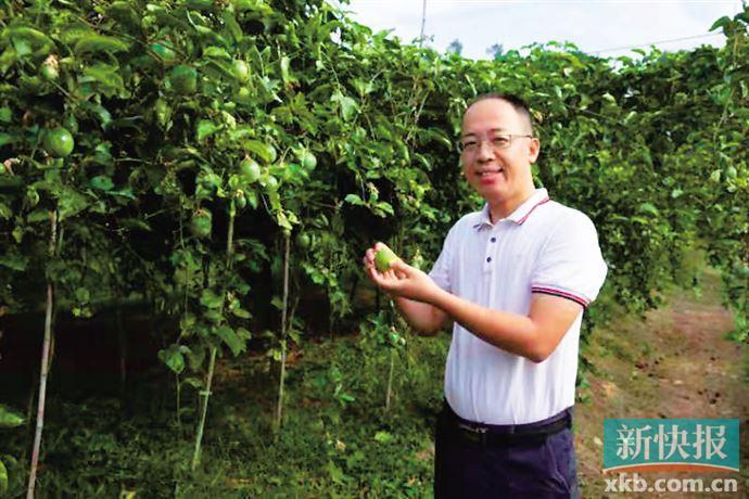 农村致富种植项目_农村种植致富快报_农村致富新项目种植
