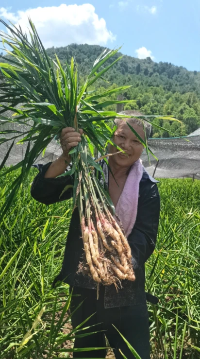 青山种植致富果_青山种植专业合作社_青山致富种植果园电话