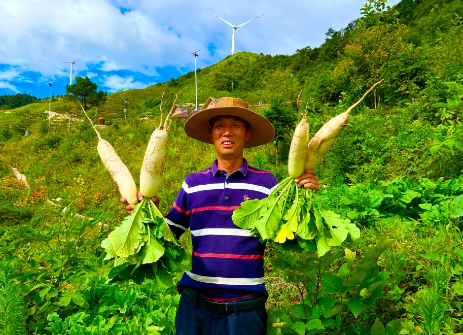 青山种植致富果_青山种植专业合作社_青山致富种植果园电话