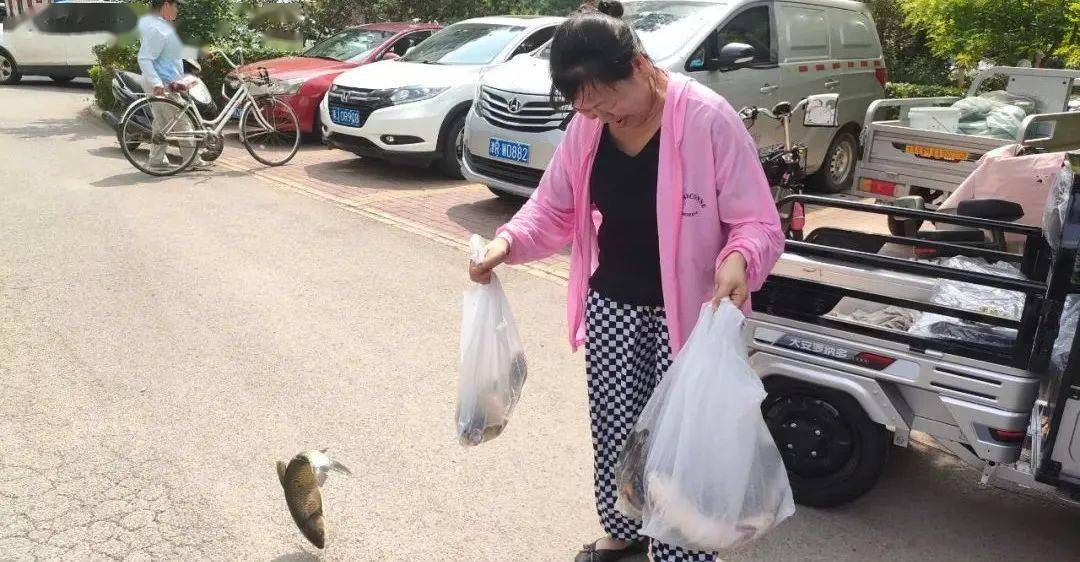 螃蟹养殖吃什么长得快_致富经张键养螃蟹_养螃蟹致富经