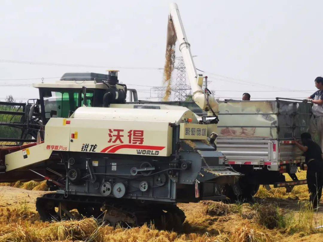 螃蟹养殖吃什么长得快_养螃蟹致富经_致富经张键养螃蟹