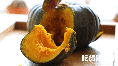 南瓜贝贝种植技术小结怎么写_贝贝小南瓜种植技术_南瓜贝贝7月份种的技术和管理