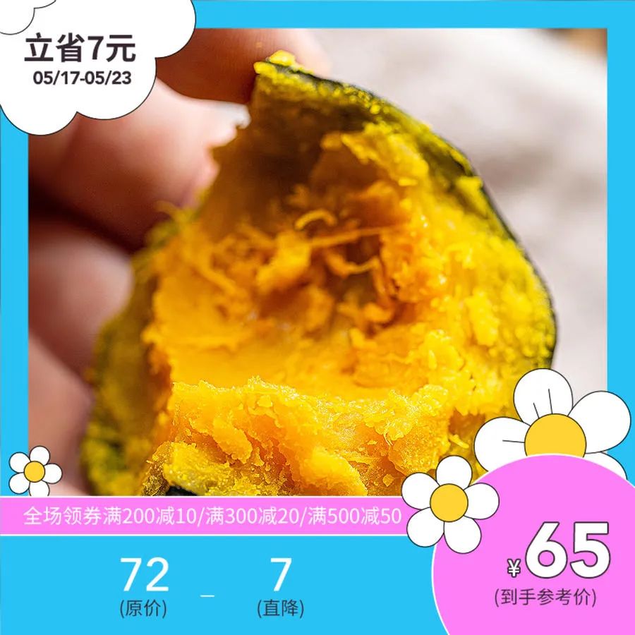 南瓜贝贝种植技术小结怎么写_南瓜贝贝7月份种的技术和管理_贝贝小南瓜种植技术