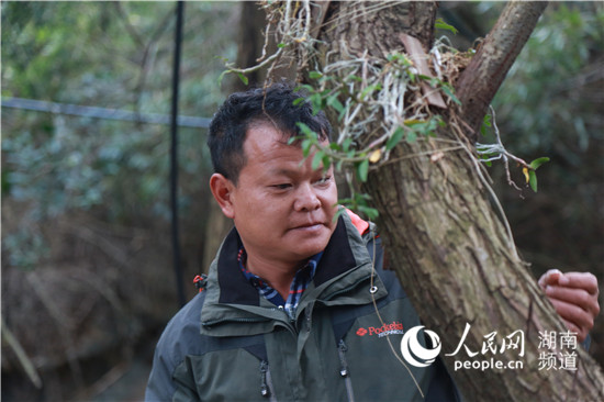 青山致富种植果园在哪里_青山种植致富果_青山致富种植果园电话