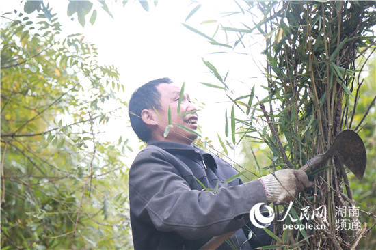 青山致富种植果园电话_青山种植致富果_青山致富种植果园在哪里