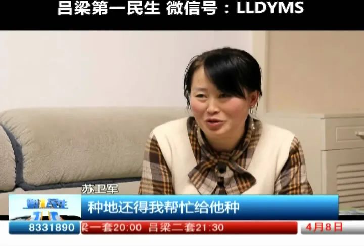 致富经所有关豆腐的致富经_致富经做豆腐_致富经豆腐全集视频
