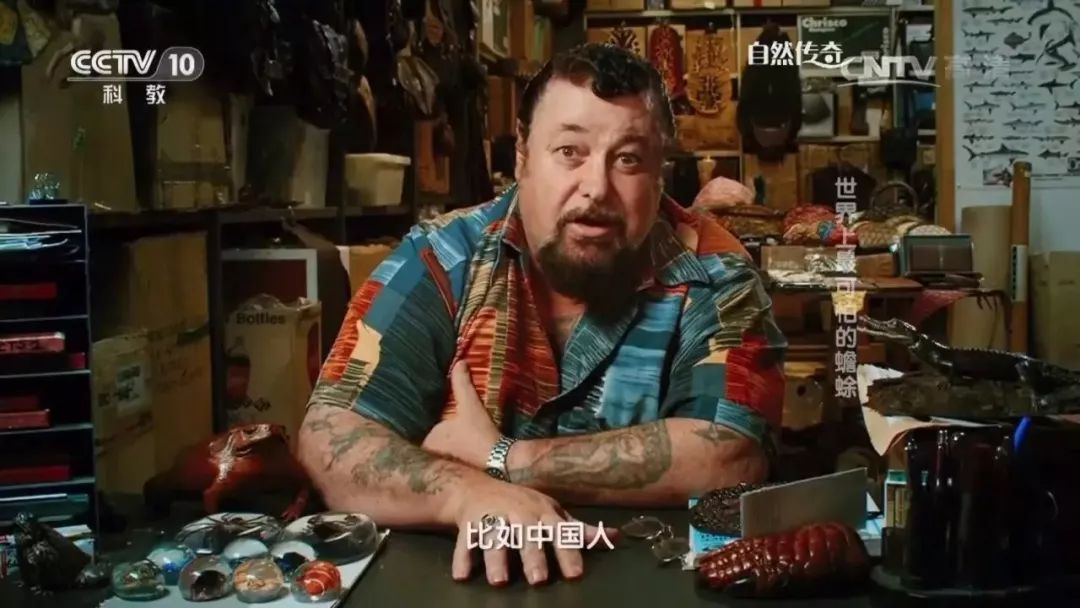 致富经蟾蜍的养殖技术_致富经蟾蜍的养殖技术_致富经蟾蜍的养殖技术